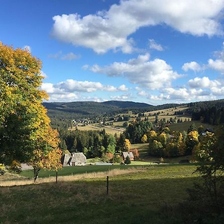 2-Raum-Ferienwohnung-Mit-Titiseeblick-In-1100-M-Hoehe Feldberg  Exterior foto