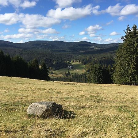 2-Raum-Ferienwohnung-Mit-Titiseeblick-In-1100-M-Hoehe Feldberg  Exterior foto