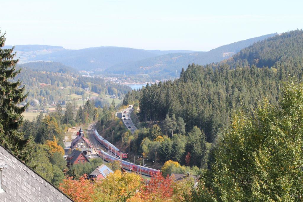 2-Raum-Ferienwohnung-Mit-Titiseeblick-In-1100-M-Hoehe Feldberg  Exterior foto