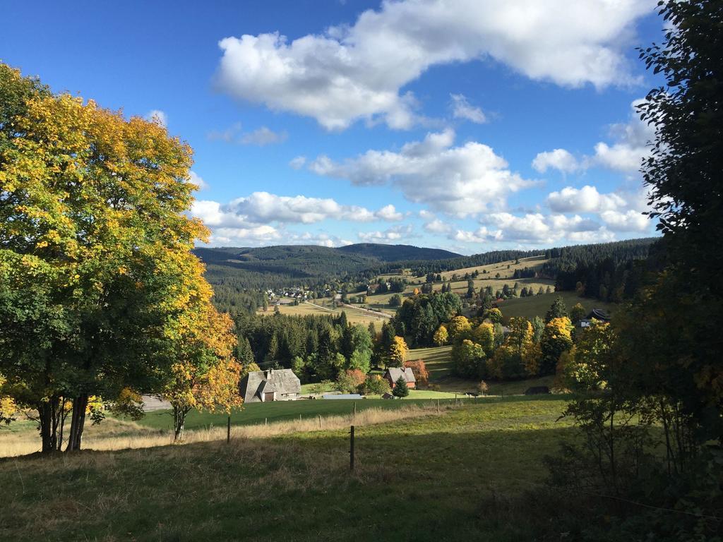 2-Raum-Ferienwohnung-Mit-Titiseeblick-In-1100-M-Hoehe Feldberg  Exterior foto