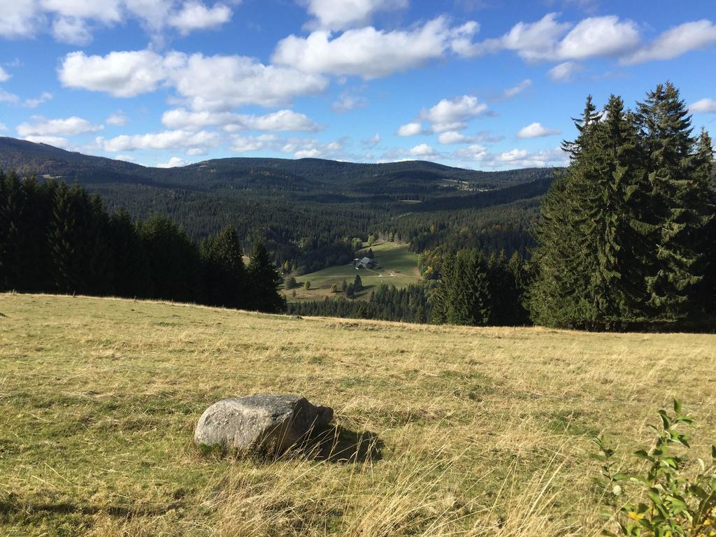 2-Raum-Ferienwohnung-Mit-Titiseeblick-In-1100-M-Hoehe Feldberg  Exterior foto