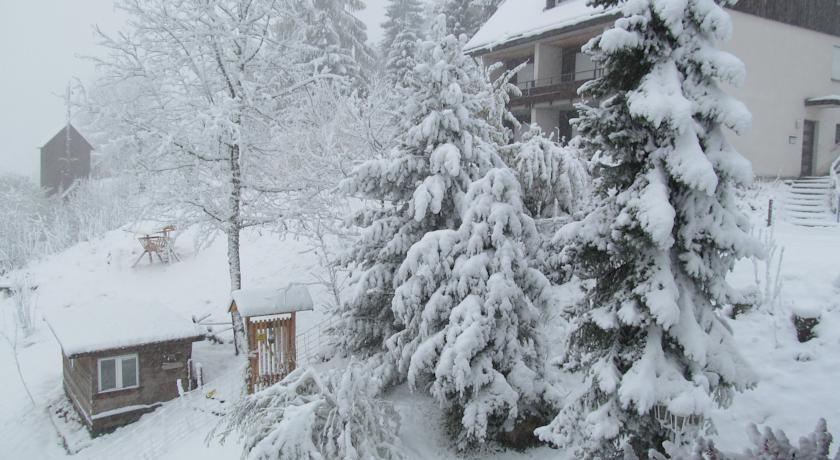 2-Raum-Ferienwohnung-Mit-Titiseeblick-In-1100-M-Hoehe Feldberg  Exterior foto